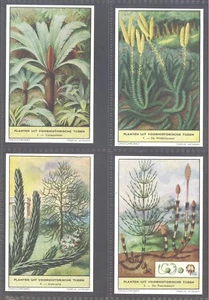 Liebig - Living Prehistoric Plants S1693 (Dutch) - Set - Picture 1 of 1