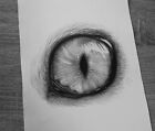 Cat Eye Drawing Original Art Size A4