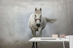 3D White Horse Flying C25 Animal Wallpaper Mural Self-adhesive Removable Zoe - Picture 1 of 12