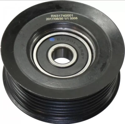 Polea loca correa accesorio para Nissan Titan 2004-2015 Serpentine 119277S000 Foto 1 de 2