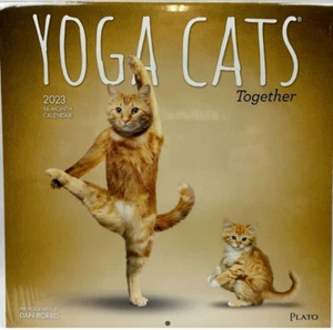 Yoga Cats Wall Art Photos Kittens 2023 12" x 12" Wall Calendar Kitty - Picture 1 of 2