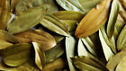Bio Zimt Zimt Verum sonnengetrocknete Blätter Stücke Ceylon 10 Blätter
