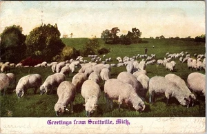 Postal de recuerdo vintage Scottville MI-Michigan, saludos escénicos, ovejas, c1908 - Imagen 1 de 2