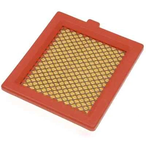 118550147/0 Luftfilter Original Aufsitzmäher Rasenmäher Castelgarden XA47 XS45 - Bild 1 von 2