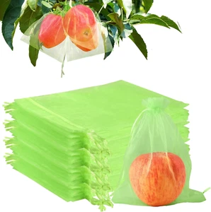 100Pcs Fruit Protection Bags,6''×8''Green Netting Bags for Fruit Trees Garden... - Picture 1 of 7