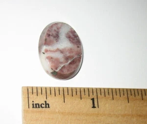 22mm x 17mm x 5mm POLISHED NATURAL RARE! FLAMINGO STONE CABOCHON BELGIUM 3.8g *2 - Picture 1 of 13