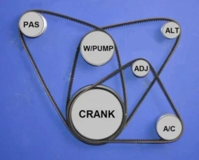 FITS NISSAN ELGRAND E50 3.2TD 1997-1999 QD32ETI BELT KIT  P/S,A/C, ALTERNATOR    - Image 1 of 3