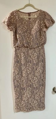 J S Collections Embroidered Lace Blouson Cocktail Dress Size 6 Mauve Dusty Rose - Image 1 of 4