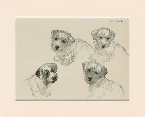 SEALYHAM TERRIER WELPEN VINTAGE 1939 HUND KUNSTDRUCK von K F BARKER FERTIG MONTIERT - Bild 1 von 1