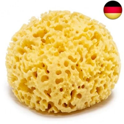 LONGIVIA Naturschwamm Groß 13 cm Premiumqualität Grass Haltbar Großporig 100% Natur & Or