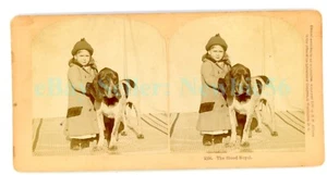 Retrato - NIÑA CON PERRO BASSET HOUND - Kilburn Stereoview SV - Imagen 1 de 2