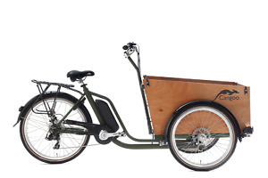 E-CARGOBIKE Elektrotransportrad E-Bike Cangoo ``Easy`` BAKFIETS 6 Gang Grün