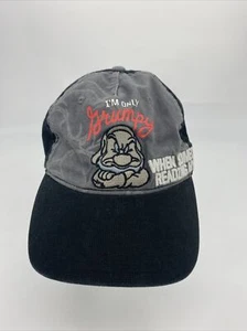Disney Parks "I’m Only Grumpy When Someones Reading My Hat" Strapback Cap - Picture 1 of 9