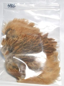 Hen Cape Natural Feathers 12” x 8” for Fly Tying #486 - Picture 1 of 6