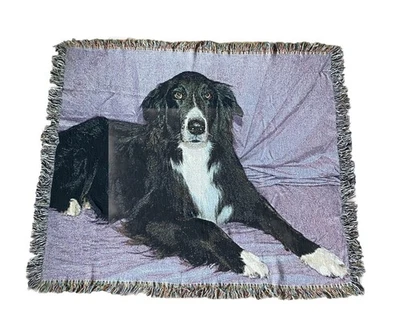 Cobertor de tapeçaria tecido para cachorro Border Collie preto branco roxo 48 X 56 - Imagem 1 de 3