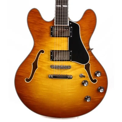 Eastman T486 cuerpo semi-hueco Goldburst Foto 1 de 4