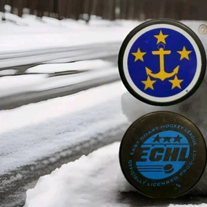 HAMPTON ROADS ADMIRALS STARS VINTAGE ECHL OFFICIAL GAME PUCK - CZECH REPUBLIC - Picture 1 of 5