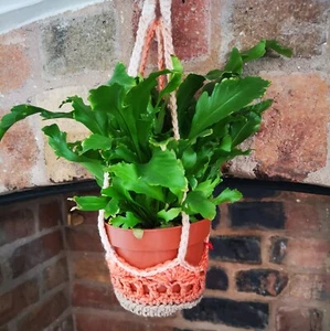 Hanging plant holder - my original crochet pattern, printed and posted. - Picture 1 of 7