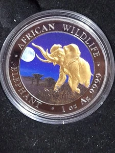 2016 AFRICAN BULL ELEPHANT GOLD OVER BLACK RUTHENIUM PROOF SILVER ONLY 200MINTED - Picture 1 of 7