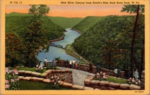 Hawk's Nest Rock State Park, WV New River Canyon Postcard - Picture 1 of 2