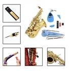 10-in-1 Wind Instrument Care Set Cork Cushion Reed Case