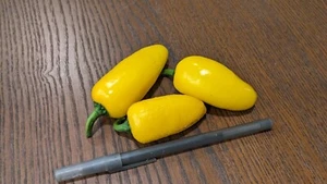 Crecer Limón Especia Jalapeño Chili Pimienta Madura a Amarillo - Sabor Único Color - Imagen 1 de 3