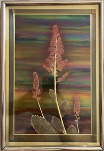 RARE Vintage 1984 “Hardhack” Original Bernhard Rohne Copper Acid Etched Art MD - Foto 1 di 17