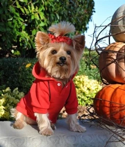 Size XS Doggie Design Sports Dog Hoodie RED, Flame Scaelett red Sport Sweater - Picture 1 of 4