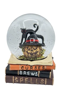 Martha Stewart Halloween Pumpkin Witch Black Cat SPELLS Books Water Globe - Picture 1 of 2