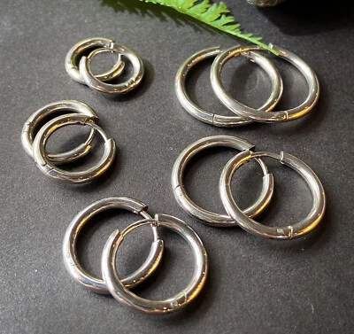 PAR de pendientes de aro sin costuras de 20 g de acción con bisagra de acero inoxidable 316L Foto 1 de 4