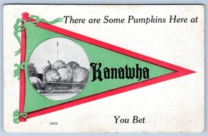 1914 HAY CALABAZAS AQUÍ en Kanawha Iowa You Bet banderín antiguo postal - Imagen 1 de 2