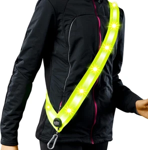 Rechargeable LED Reflective Lighted Vest for Night, Dog Lights for Dark Walking, - Picture 1 of 12