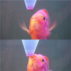4pcs Aquarium Red Worm Feeder Cone Feeding for Fish Tank Angel Fish Discus Fi UR