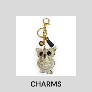 Owl Purse Charm/Keychain - Picture 1 of 6