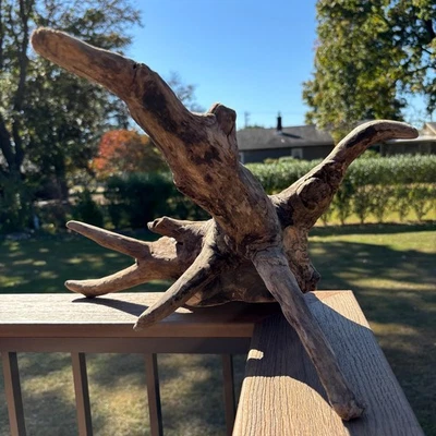 大号嵌入式硬木漂流木桩 20x11x18 带分支水族箱装饰 — 第 1/4 张图片