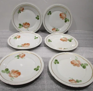 6 Thomas Bavaria Rose Pattern 8-1/4" Salad Plates - Picture 1 of 10