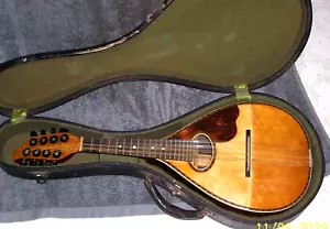 Mandolino Stromberg Voisinet palissandro e abete con custodia costruita negli anni '20 '30 - Foto 1 di 16