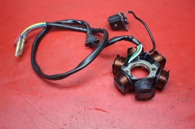 CAN-AM DS90 2009 GENERADOR DE ESTATOR ALTERNADOR MAGNÉTICO Foto 1 de 4