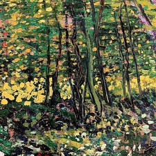 Trees & Undergrowth Vincent Van Gogh Poster From the Van Gogh Museum Amsterdam