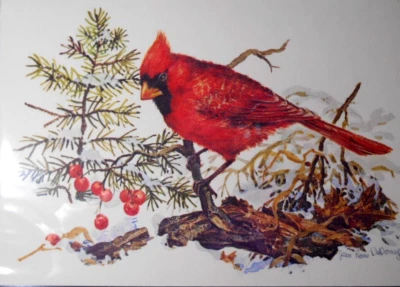 10 Vintage Current Christmas Holiday Postcards - RED CARDINAL BIRD - Image 1 of 3