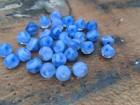 ♥Nr.154-Alte Glasknöpfe Puppenknöpfe Kugelknöpfe 14 Stück Mondschein blau 8 mm♥