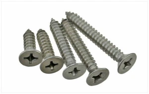 201 Stainless Steel M3 M4 M5 Phillips Flat Head Self Tapping Sheet Metal Screws - Picture 1 of 6