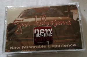 Gin Blossoms, New Miserable Experience NOS SEALED CASSETTE 1992 - Picture 1 of 3