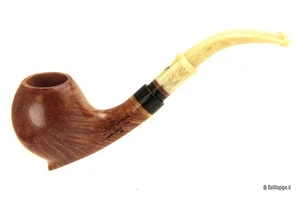 Pipa Viprati * - Bent Egg - Picture 1 of 7