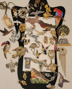 Huge Lot Bird Figural Mixed Jewelry Brooch Pins Owl Variety Assorted Rhinestone - Picture 1 of 19
