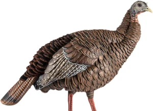 Esca da caccia HDR Hen Turkey realistica in piedi con palo design durevole - Foto 1 di 5