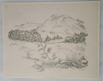 Paisaje dibujo a lápiz firmado por E. Engley Foto 1 de 4