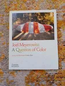 A Question of Colour - Joel Meyerowitz - Picture 1 of 16