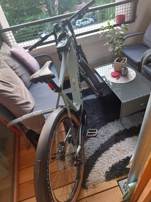 herren 29 zoll e mountain bike gebraucht - Bild 1 von 4