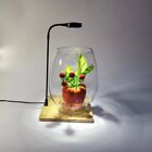 10W Aquarium Plant Fill Lamp Indoor LED Growing Light  Miniature Landscape